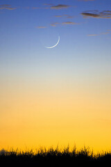 A very think crescent on a gradient sky at sunset time