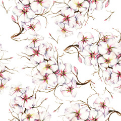 a set of elements for your imagination, roses. eucalyptus, convolvulus. leaves, hydrangea