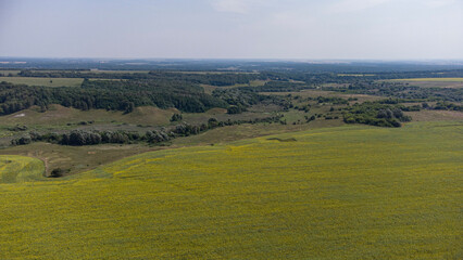 Naklejka premium fields with sunflowers from a bird's eye