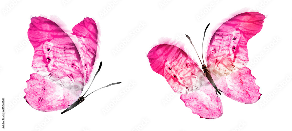 Wall mural Color watercolor butterfly , isolated on the white background. Set