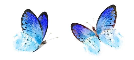 Glasschilderij Vlinders Kleur aquarel vlinder, geïsoleerd op de witte achtergrond. Set