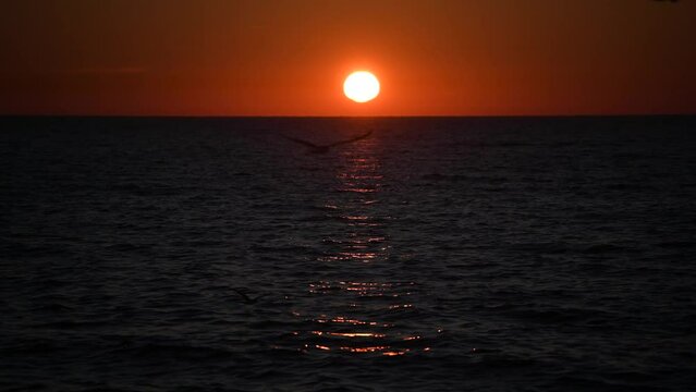 4k video of an amazing sunrise landscape at the Black Sea shore in Constanta, Romania, with beautiful orange sky color
