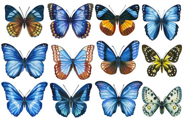 Obraz na płótnie Canvas Collection Watercolor colorful butterflies isolated on white background. Spring blue butterfly illustration.