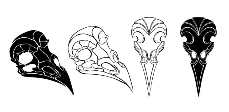 Silhouette bird skulls