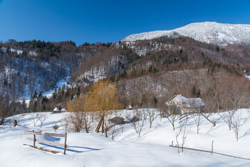 Fototapeta na wymiar winter landscape in the Carpathian mountains in Transylvania Romania