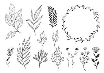 Set Of Black & White Line Drawing Plants, Leaves & Flowers Plus A Wreath