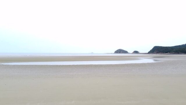 fly low in the tidal flat