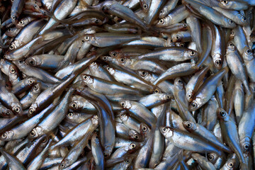 Food background. Background of small fish