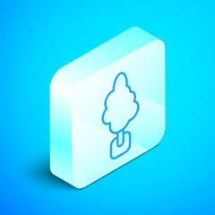 Isometric line Tree icon isolated on blue background. Forest symbol. Silver square button. Vector