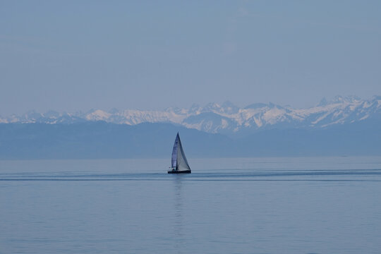 Segelboot auf dem Bodensee vor den Alpen
