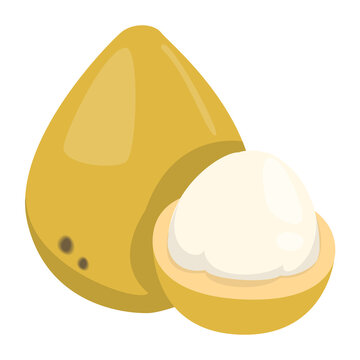 Bacuri vector isolated. Tropical fruit, fresh sliced product. Vegetarian food, ripe fruit flesh. Exotic bacuri.