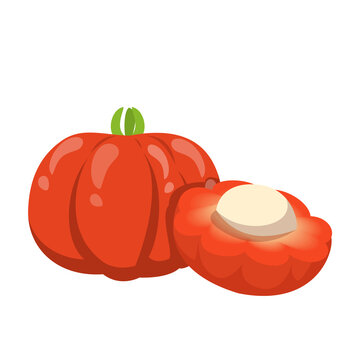 Pitanga vector isolated. Tropical fruit, delicious vegetarian product. Red exotic berry. Sliced pitanga with seed inside.
