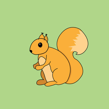 Squirrel image isolated on green background. It has large cute eyes, fluffy tail. Cute furry animal- rodent 