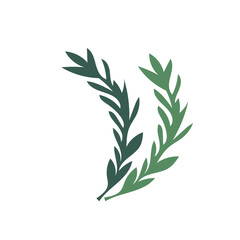 Simple hand drawn rosemary branches and leaves isolated. Vector hand drawn food illustration.