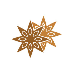 Vector illustration with star anise. Hand drawn label isolated on white background. Banner for organic herbs and spices concept. For package design.