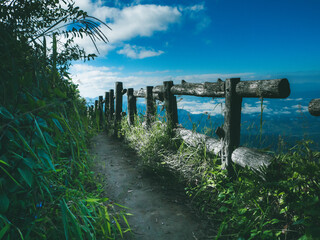 cliff side pathway at Doi Inthanon National Park , Thailand