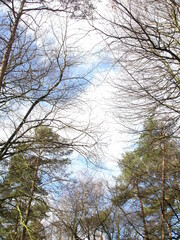 Fototapeta premium Herbstwolken_002 