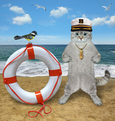An ashen cat captain in a sailor hat stands near a lifebuoy by the sea.