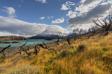 Lago del Pehoe in Torres del Paine national park, Patagonia, Chile.