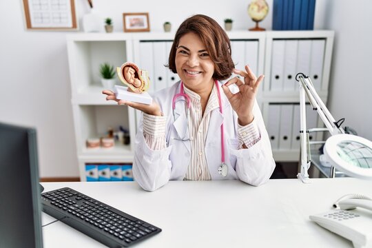 Middle age hispanic doctor woman holding anatomical model of female uterus with fetus doing ok sign with fingers, smiling friendly gesturing excellent symbol