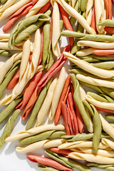 homemade pasta fusilli pugliesi tris