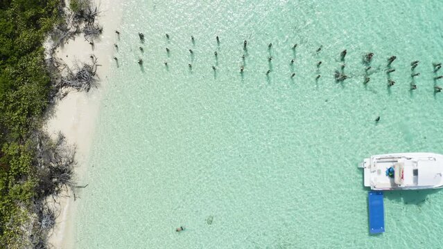 AERIAL - Boat on clear turquoise waters, Cayo Icacos, Puerto Rico, top down rising