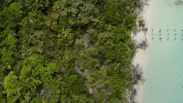 AERIAL - Jungle, beach and boat on clear water, Cayo Icacos, Puerto Rico, top down