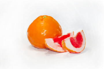 Illustration of grapefruit painted with watercolors on white background.