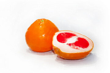 Illustration of grapefruit painted with watercolors on white background.