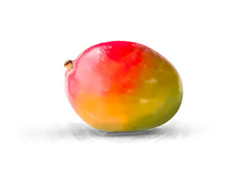 Watercolor illustration of mango fruit whole on white background