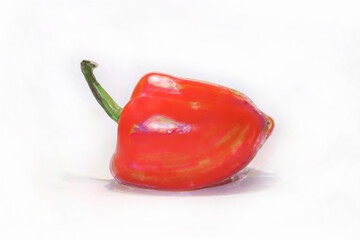 Red bell pepper. Hand drawn watercolor painting on white background.