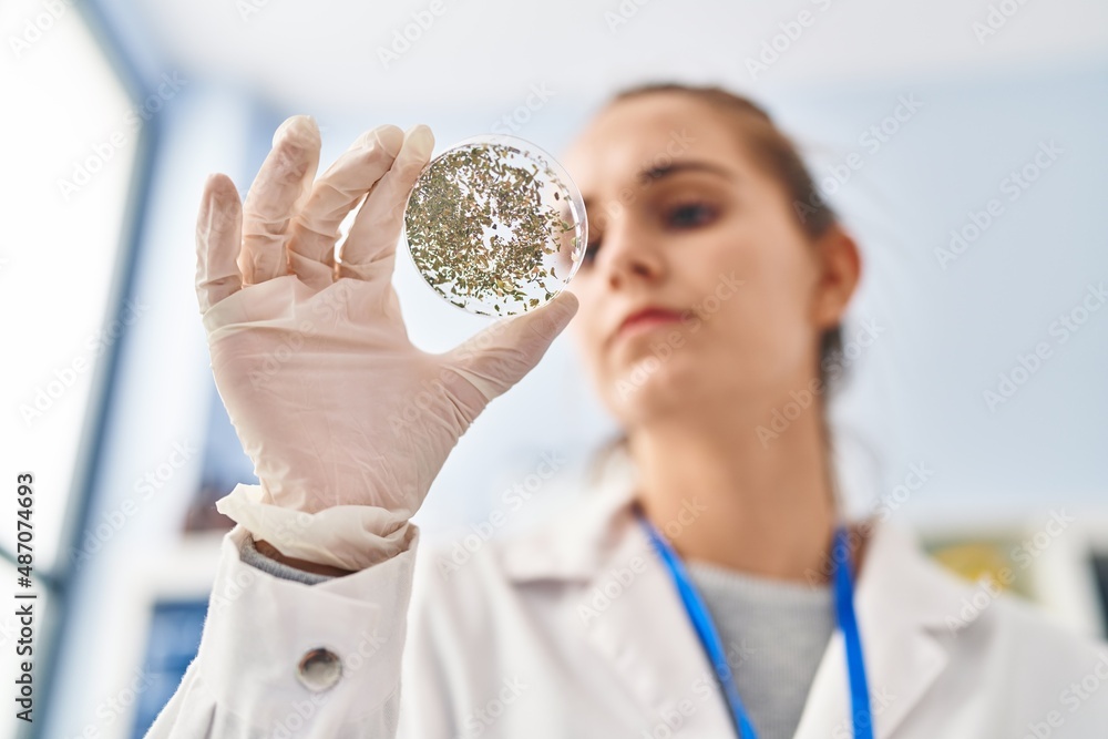 Poster Young blonde woman wearing scientist uniform looking sample at laboratory