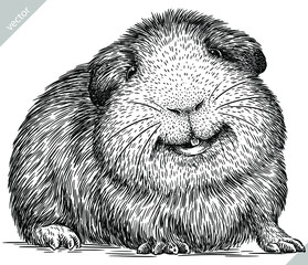 black and white engrave isolated guinea pig vector illustration