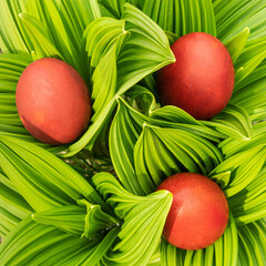 Home-made red Easter eggs in a spring garden