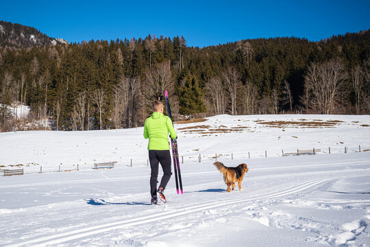 A Caucasian Middle Aged Man In Ski Wear Walking With His Dog Through The Snow, Holding Cross Country Skis And Ski Poles In His Hands.