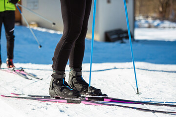 Cross country woman skier putting on the ski and fastened it on the right leg, low section shot....