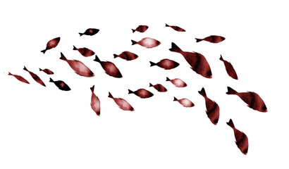 Silhouettes of groups of  fishes on white. Watercolor
