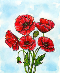 Red poppies floral watercolor background, Decorative flowers hand drawn illustration, Spring blooming wild flowers, bouquet of red poppy flowers on blue background, mothers day card
