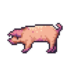 Fototapeta premium Cute pink pig pixel art icon. Farm animal logo. Domestic animal. Game development, mobile app. 8-bit sprite. Isolated vector illustration