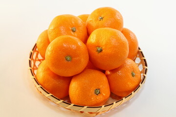 西浦みかん（寿太郎みかん）