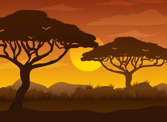 Silhouette savanna forest at sunset time © blueringmedia