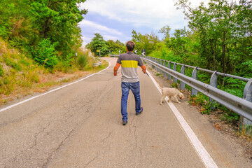 young man walking on the road a white dog of a lagotto-Romagnolo breed across the trees and sky. Walking the dog in the park.