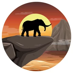 Elephant silhouette in savanna forest © blueringmedia