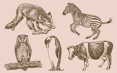 Vector sepia collection of animals, fox,zebra,cow, penguin,owl