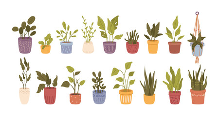 Plants and flowers with foliage, isolated set of botany different. Vector leafage and growing houseplants in vases and pots. Summer and spring greenery, florist shop or store. Flat cartoons