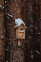 Birdhouse in the winter forest on a tree