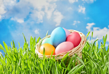 Colorful eggs in the sun