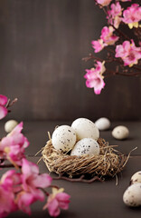 easter quail eggs and pink flowers on dark wooden background