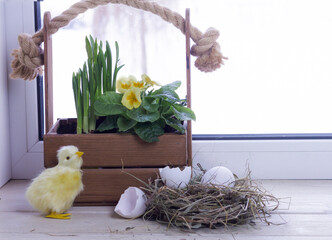 Easter diy composition on the window with a toy chicken, a nest and eggs ,growing flowers of...