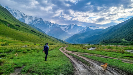 Fototapeta na wymiar A man walking with a dog toward the Shkhara Glacier in the Greater Caucasus Mountain Range in Georgia, Svaneti Region, Ushguli. Stray dog. Wanderlust, hiking. Humans best friend. Outdoor activities.